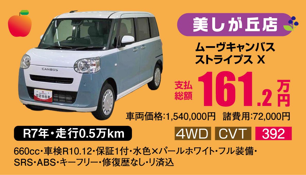 ムーヴキャンバス ストライプス X